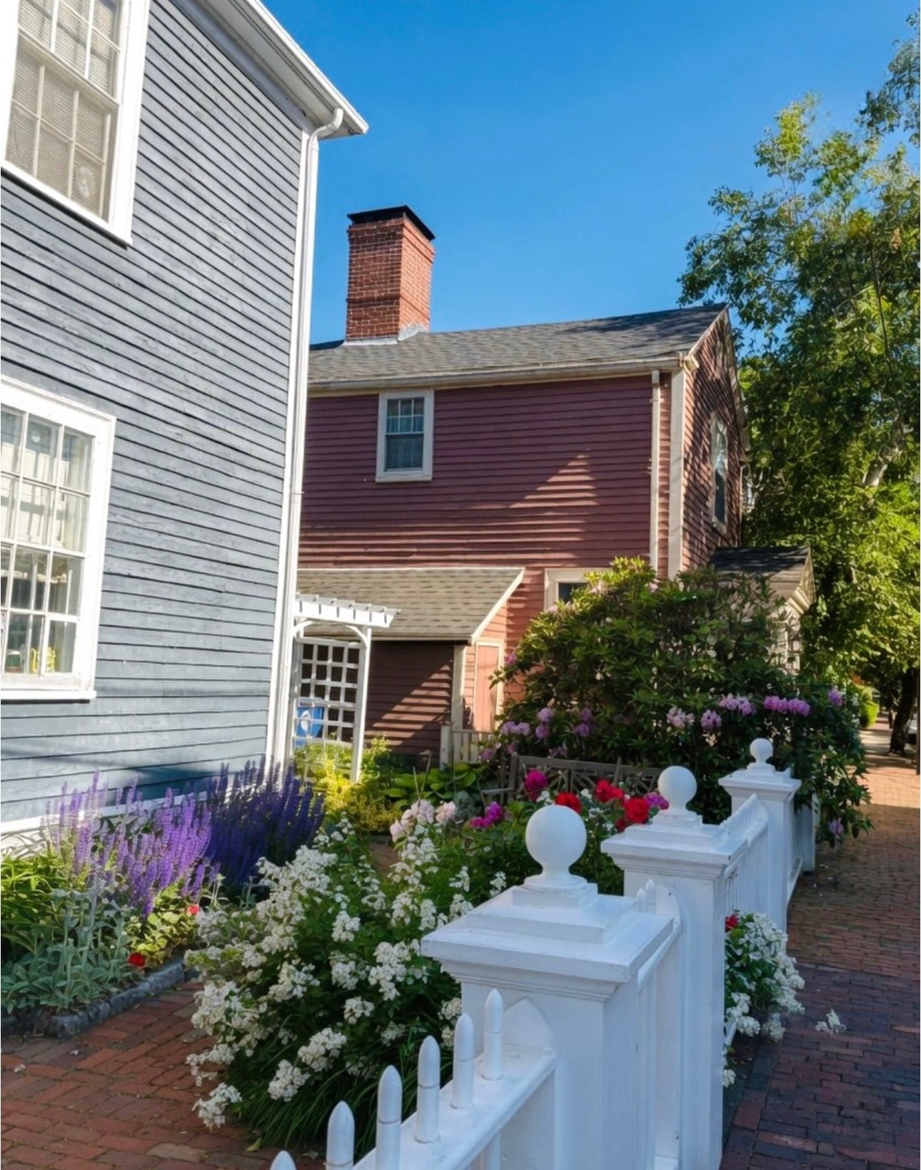 A lush cottage garden of rhododendron, salvia and roses between colonial houses along a brick sidewalk in Salem