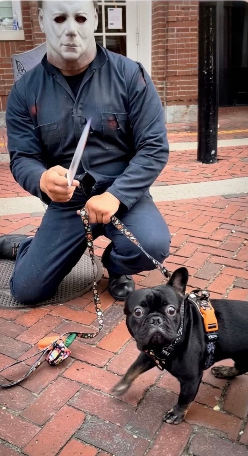 A man dressed as Michael Myers in the white mask and navy coveralls, kneeling with a kitchen knife and holding the leash of a black French bulldog on the brick sidewalk