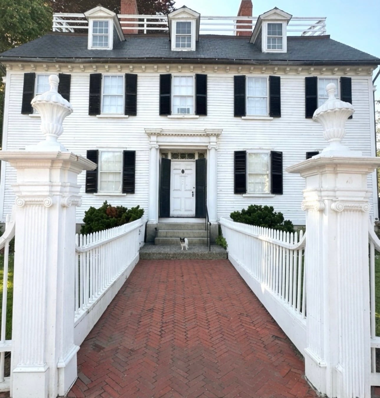The white Georgian Ropes Mansion with black shutters, urn-topped gateposts, and a herringbone brick walk in Salem, a small dog on the steps
