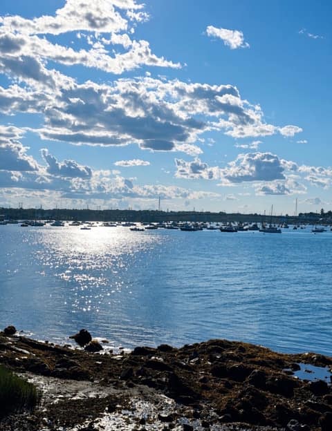 Sunlight scattering across Salem Harbor with dozens of moored boats and a seaweed-covered rocky shoreline in the foreground, Salem MA