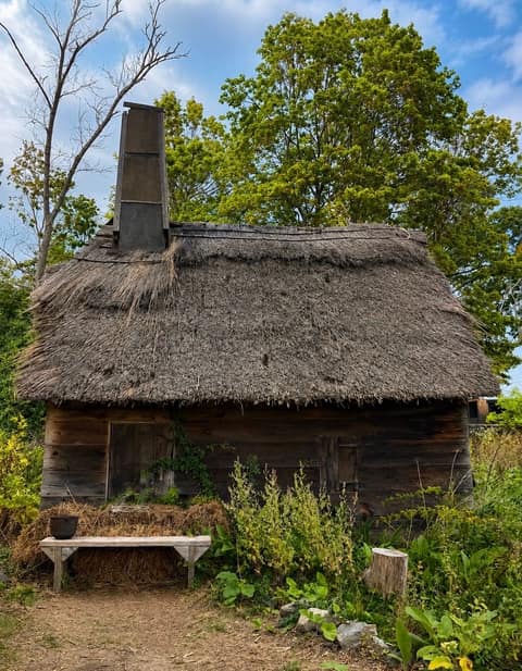 A broad thatched-roof cottage with a wooden bench and overgrown herb beds in front of it